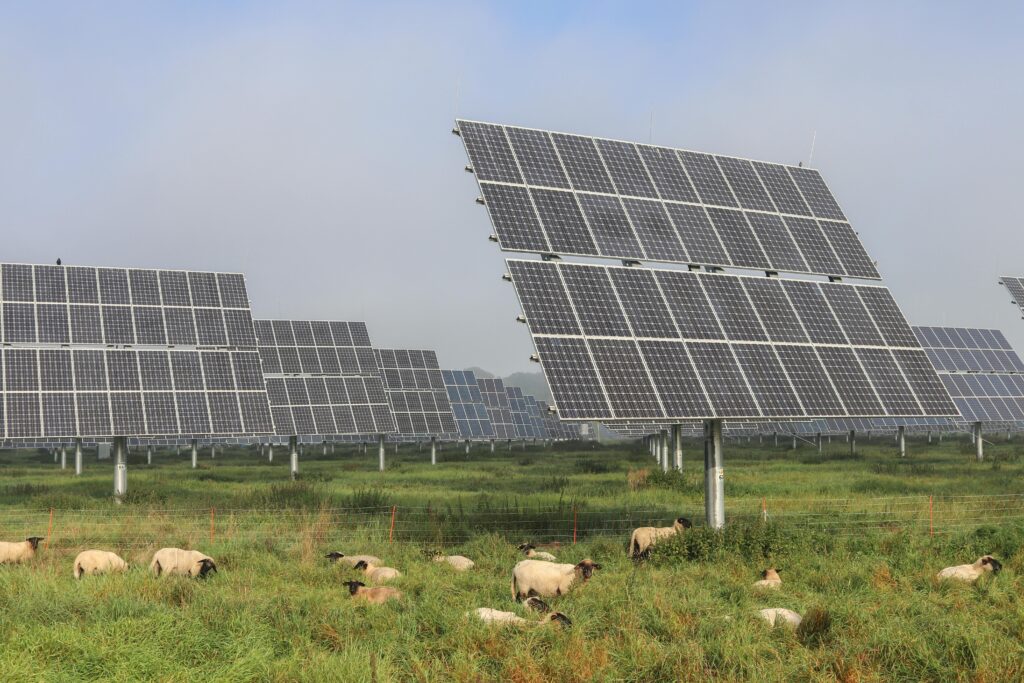 Panneaux photovoltaïques